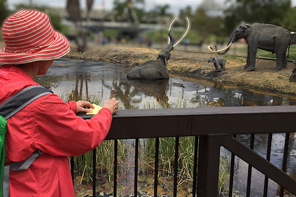 Author at Tar Pits