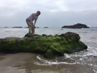 Author at tide pools